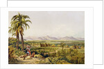 Pirara and Lake Amucu, The Site of Eldorado, printed by Georges Barnard by Charles Bentley