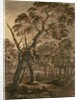 Forest Scene, A Giant Scots Fir and Forest Glade, 1771 by Rev. William Gilpin
