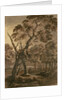 Forest Scene, A Giant Scots Fir and Forest Glade, 1771 by Rev. William Gilpin