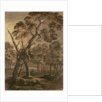 Forest Scene, A Giant Scots Fir and Forest Glade, 1771 by Rev. William Gilpin