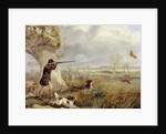 Duck Shooting by Henry Thomas Alken