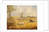 Partridge Shooting by Henry Thomas Alken