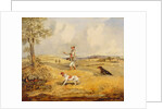 Partridge Shooting by Henry Thomas Alken