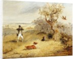 Pheasant Shooting by Henry Thomas Alken