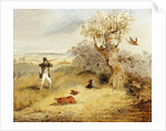 Pheasant Shooting by Henry Thomas Alken