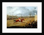A Steeplechase, The Winner by Henry Thomas Alken