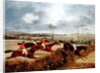 A Steeplechase, Near the Finish by Henry Thomas Alken