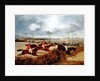A Steeplechase, Near the Finish by Henry Thomas Alken