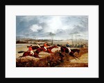 A Steeplechase, Near the Finish by Henry Thomas Alken