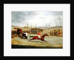 A Steeplechase, Another Hedge by Henry Thomas Alken