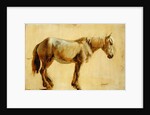 Study of a Grey Horse by Jacques-Laurent Agasse