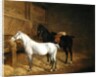A Grey Pony and a Black Charger in a Stable by Jacques-Laurent Agasse