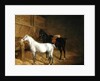 A Grey Pony and a Black Charger in a Stable by Jacques-Laurent Agasse