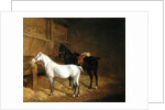 A Grey Pony and a Black Charger in a Stable by Jacques-Laurent Agasse