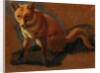 Study of a Fox by Jacques-Laurent Agasse