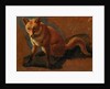 Study of a Fox by Jacques-Laurent Agasse