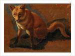 Study of a Fox by Jacques-Laurent Agasse