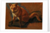 Study of a Fox by Jacques-Laurent Agasse