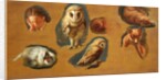 Studies of a Fox, a Barn Owl, a Peahen and a Young Man's Head by Jacques-Laurent Agasse