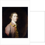 Charles Carroll of Carrollton, c.1763 by Joshua Reynolds