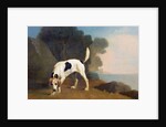 Foxhound on the Scent, c.1760 by George Stubbs