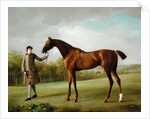 Lustre, held by a Groom, c.1760-62 by George Stubbs
