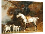 Huntsman with a Grey Hunter and Two Foxhounds: details from the Goodwood 'Hunting' picture, 1760-61 by George Stubbs