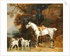 Huntsman with a Grey Hunter and Two Foxhounds: details from the Goodwood 'Hunting' picture, 1760-61 by George Stubbs