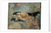Study of Five Horned Cattle by John Constable