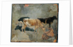Study of Five Horned Cattle by John Constable