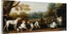 Releasing the Hounds, c.1765 by John Wootton