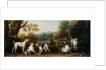Releasing the Hounds, c.1765 by John Wootton