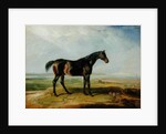 Dr. Syntax, a bay racehorse, standing in a coastal landscape, an estuary beyond by James Ward