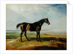 Dr. Syntax, a bay racehorse, standing in a coastal landscape, an estuary beyond by James Ward