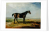 Dr. Syntax, a bay racehorse, standing in a coastal landscape, an estuary beyond by James Ward