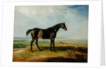 Dr. Syntax, a bay racehorse, standing in a coastal landscape, an estuary beyond by James Ward