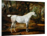 A Grey Arabian Stallion, the Property of Sir Watkin Williams-Wynn, c.1815-20 by James Ward