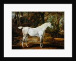 A Grey Arabian Stallion, the Property of Sir Watkin Williams-Wynn, c.1815-20 by James Ward