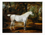 A Grey Arabian Stallion, the Property of Sir Watkin Williams-Wynn, c.1815-20 by James Ward