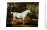 A Grey Arabian Stallion, the Property of Sir Watkin Williams-Wynn, c.1815-20 by James Ward