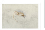 Study of a crouching Fox, facing right verso: faint sketch of fox's head and tail by John Frederick Lewis