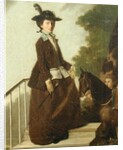 Mrs. Edward Bridgeman by Henry Walton