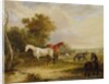 Horses Grazing: A Grey Stallion grazing with Mares in a Meadow by Francis Calcraft Turner