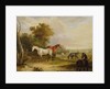 Horses Grazing: A Grey Stallion grazing with Mares in a Meadow by Francis Calcraft Turner