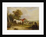 Horses Grazing: A Grey Stallion grazing with Mares in a Meadow by Francis Calcraft Turner