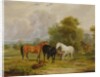 Horses Grazing: Mares and Foals in a Field by Francis Calcraft Turner