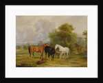 Horses Grazing: Mares and Foals in a Field by Francis Calcraft Turner