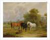 Horses Grazing: Mares and Foals in a Field by Francis Calcraft Turner