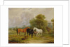 Horses Grazing: Mares and Foals in a Field by Francis Calcraft Turner