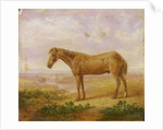 Old Billy, a Draught Horse, Aged 62 by Charles Towne